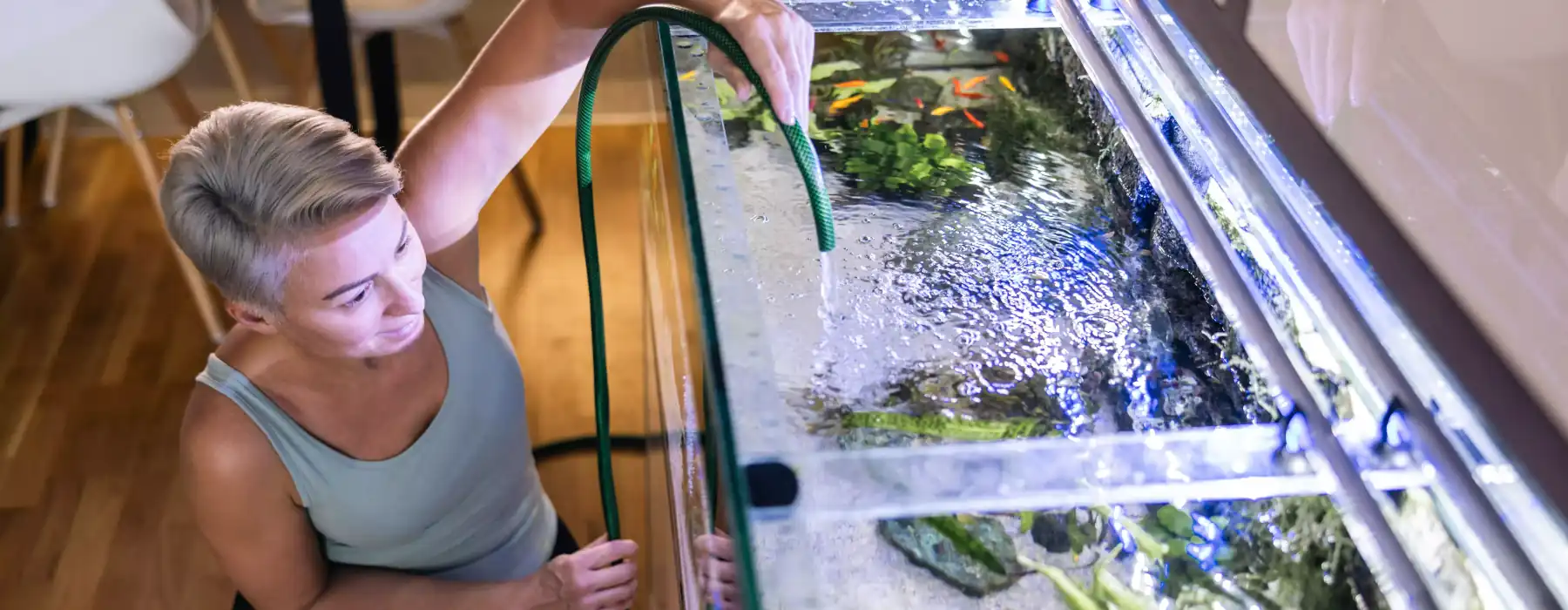 Fish aquarium cleaning water change