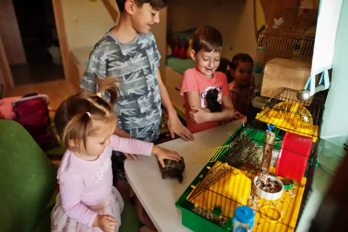 Children play with Hamster and turtle