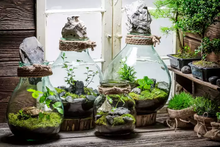 Terrarium insect habitat rain forest vivarium