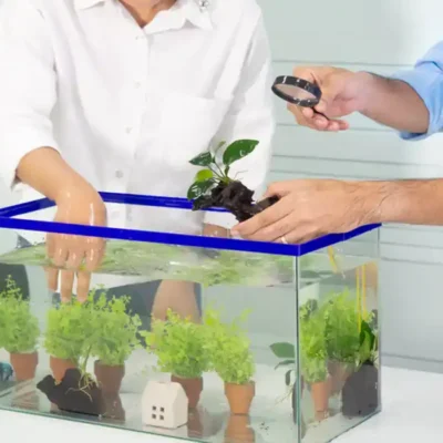 Fish Health Care, Healing Your Aquarium: A Positive Guide to Common Disease