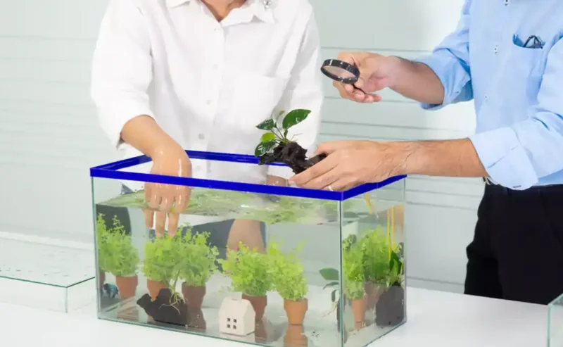 Fish Health Care, Healing Your Aquarium: A Positive Guide to Common Disease