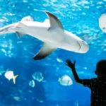 Marine life parks Living Wonders of the Sea