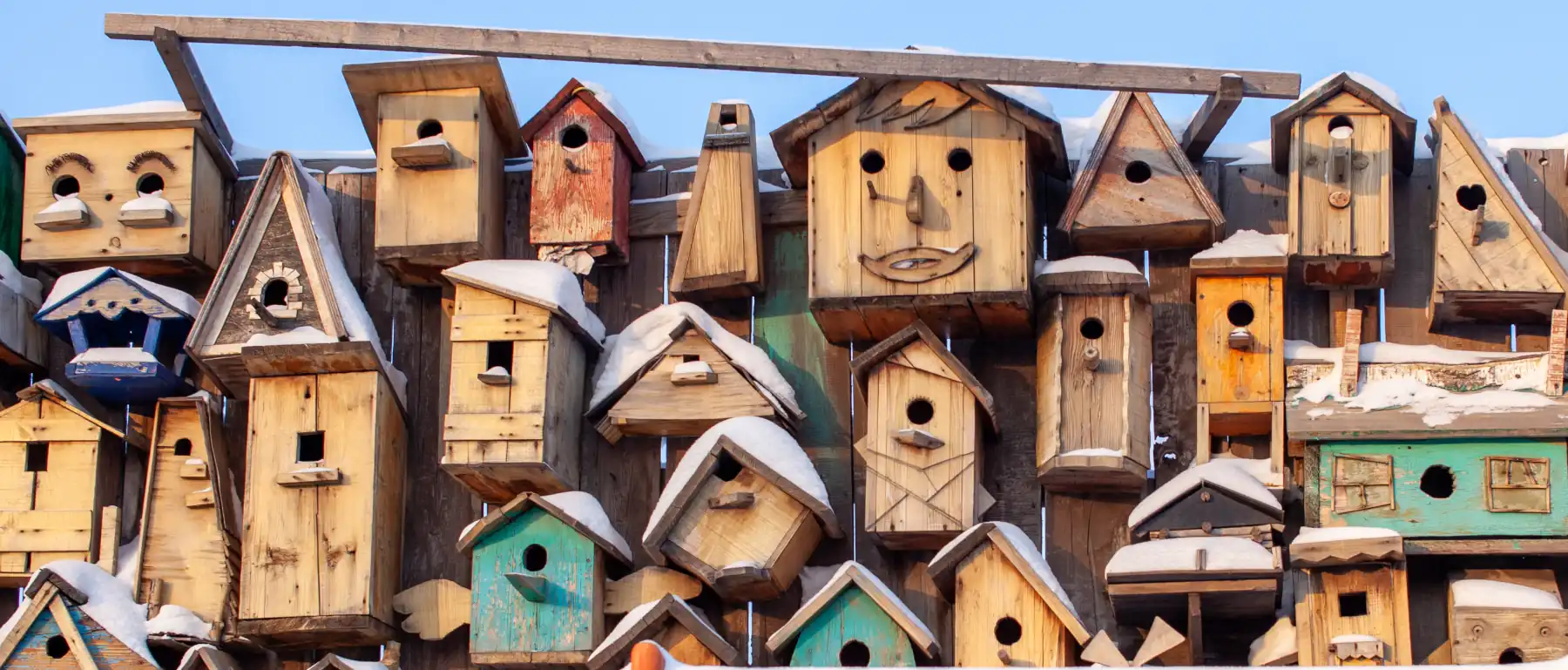 Joyful Balance Understanding Your Bird’s Nesting Instincts Without Stress, bird feeders birdhouses