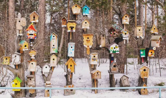 hobbies bird housing